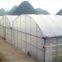 Durable Multi Span Agriculture Equipment Polythene Greenhouse
