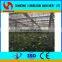 Galvanized Steel Structure Glass Cover Used Commercial Greenhouses