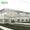 Agricultural Poly Film Greenhouse/ Greenhouse Equipment/ Horticulture