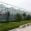 Large Size Multispan Glass Greenhouse as Exhibition Hall