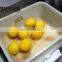 Industrial Automatic Large Capacity Fruit Juicer Machine, Pineapple Juice Machine