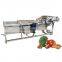 China factory featured product industrial air bubble green pepper chili carrot washing cleaning machine