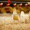 Nipple Drinker for Animal Water Poultry Cup Drinker Drip Cup for Cage of Bird