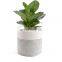 OEM Custom Wholesale Supplier Cotton Rope Pot Flower Holder Stand Woven Basket Plants