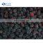 Sinocharm New Season BRC-A Approved Insect-free Fresh IQF Frozen Blackberry