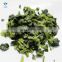 New Crop High Quality Organic IQF Frozen Chopped Spinach Block