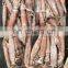 frozen todarodes pacificus squid todarodes squid japanese flying squid