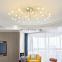 LED Ceiling Lights LED Chandelier for Indoor Bedroom and Living Room Ceiling Lamps Firework Shape Chandelier