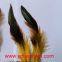 Half-Bronze Rooster/Cock/Coque Schlappens Feather for Wholesale from China