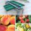 Fruit and vegetable sorting machine