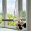Hot Window Perch Hammock Bed Minimalist Pet Furniture Training Wholesale Pet Supplies Scratchers Luxury Cat Hammock