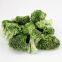 Factory's best selling freeze dried broccoli