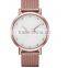 Fashion Jewelry Promotional Gift Stainless Steel 5ATM Water Resistant Sapphire Watch