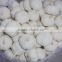 2016 new crop Chinese pure white garlic