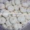 chinese pure white garlic new crop 2016 fresh best qaulity