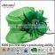 High Quality Lady Sinamay Hat Wholesale Women Church Hat