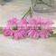 Cute Fresh Cut Gerbera Flower Preserved With Various Color