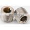 Hex Socket Stainless Steel Pipe Plug with Geomate