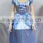 Party Carnival cinderella dress cosplay costume