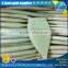 Frozen illex squid tube u10