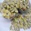 Snow White Pumpkin Kernel/ best agricultural products