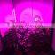led growing system all in one kit