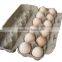 Best quality egg carton making machine