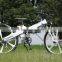 Seagull,cheap electric bike taxi