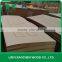 Ash Veneer door sheet / MDF door skin / Moulded door 870mm width