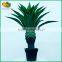wholesale artificial agave bonsai plants for home decoration