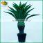 wholesale artificial agave bonsai plants for interior decoration