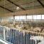 pig breeding equipment for sale