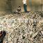 Low price high quality nickel scrap for sale