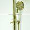 Professional Modern Style Water Saving Antique brass rain bath shower head set