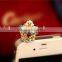 New classical dust plug for ipad 2