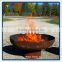 Professional Decrative Outdoor Camping Fire Pit