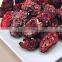 High quality IQF Frozen Blackberry with best price