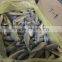 ship frozen small yellow croaker for sale