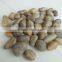 Natural Pebble Stone