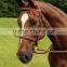 EUROPE PVC/TPU /leather horse racing bridle