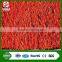 25mm colored artificial grass for kindergartens or running track
