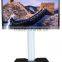 55'' interactive cheap touch all in one pc lcd monitor