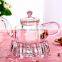 OEM ODM Small Heat Resistant Glass Teapot With Infuser 500 ml PH203
