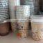 All sizes single wall paper cups in good quality made of 100% food grade paper