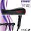 China Fashion ionic function powerful with stand hair dryer