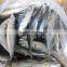 Frozen Mackerel on Board with Best Quality