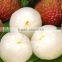 425gx12 canned lychees good taste in light syrup