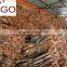 Cinnamon with Competitive price and good price