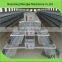 NO.1 cold galvanized automatic broiler chicken cage for layers chickens