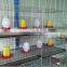 H Type, 4 tiers Chick Cage